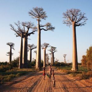 MADAGASCAR, dove la natura domina incontrastata