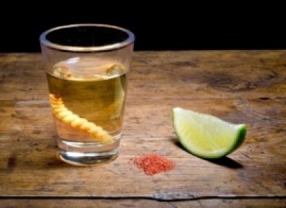 MESSICO: il rito della Tequila